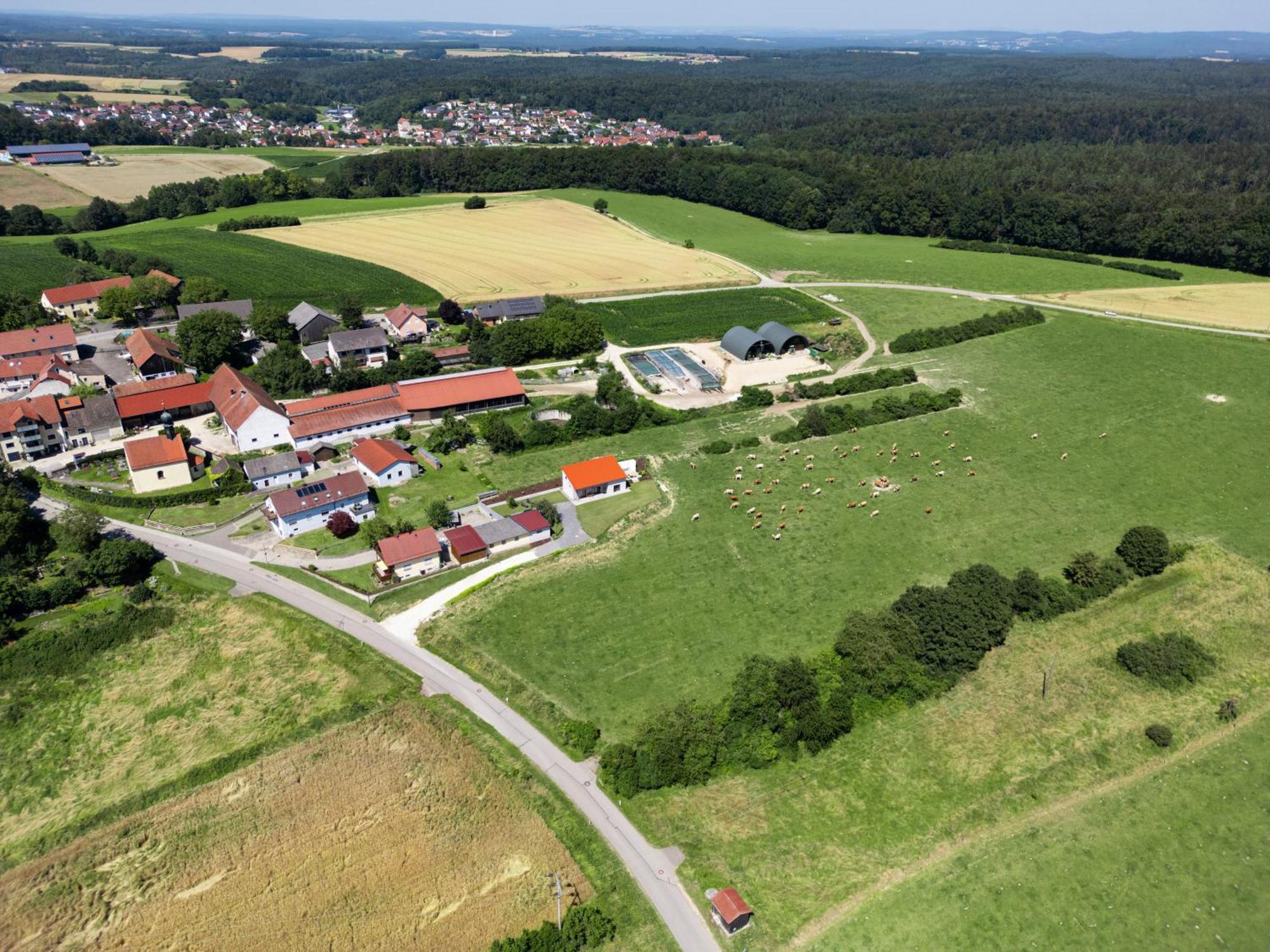 Ferienwohnung Wo Sich Kuh, Fuchs Und Hase Gute Nacht Sagen Wolfsegg Exterior foto
